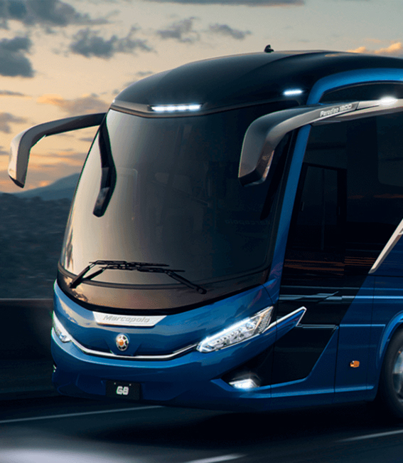 Buses